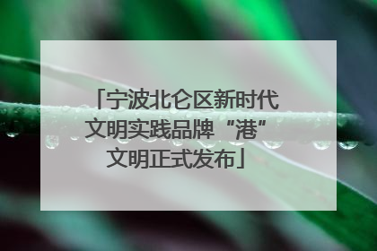 宁波北仑区新时代文明实践品牌“港”文明正式发布