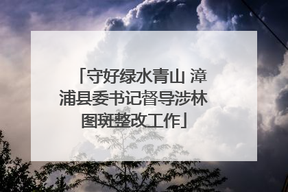 守好绿水青山 漳浦县委书记督导涉林图斑整改工作
