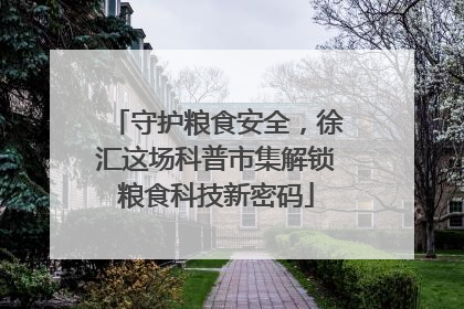 守护粮食安全，徐汇这场科普市集解锁粮食科技新密码