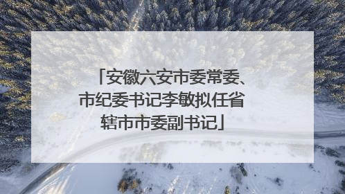安徽六安市委常委、市纪委书记李敏拟任省辖市市委副书记