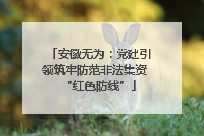 安徽无为：党建引领筑牢防范非法集资“红色防线”
