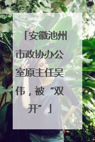 安徽池州市政协办公室原主任吴伟，被“双开”