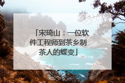 宋琦山：一位软件工程师到茶乡制茶人的蝶变