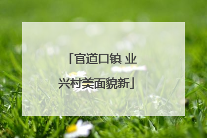 官道口镇 业兴村美面貌新