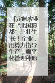 定制农业在“北国粮都”茁壮生长！企业：用算力指导生产，扁平化管理种地