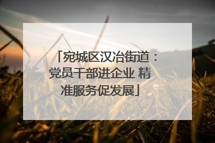 宛城区汉冶街道：党员干部进企业 精准服务促发展