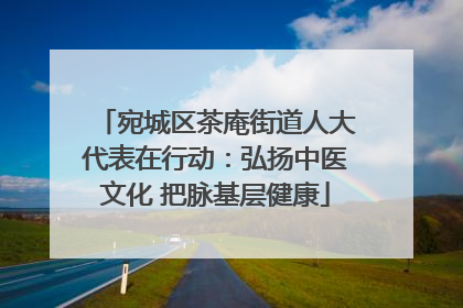 宛城区茶庵街道人大代表在行动：弘扬中医文化 把脉基层健康