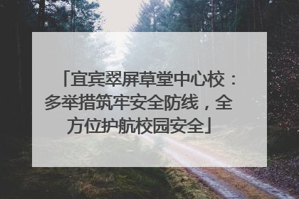 宜宾翠屏草堂中心校：多举措筑牢安全防线，全方位护航校园安全