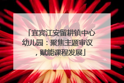 宜宾江安留耕镇中心幼儿园：聚焦主题审议，赋能课程发展