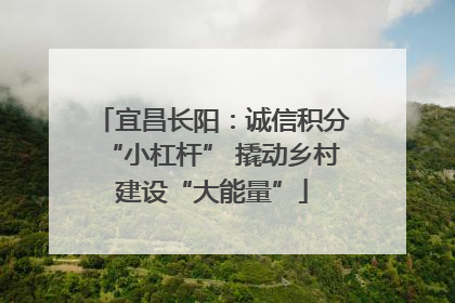 宜昌长阳：诚信积分“小杠杆” 撬动乡村建设“大能量”