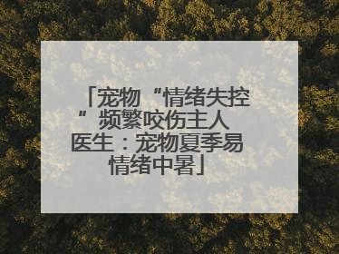 宠物“情绪失控”频繁咬伤主人 医生：宠物夏季易情绪中暑