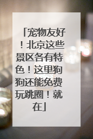 宠物友好！北京这些景区各有特色！这里狗狗还能免费玩跳圈！就在