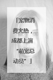 宠物消费火热，成都上演“萌宠总动员”