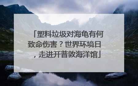 塑料垃圾对海龟有何致命伤害？世界环境日，走进开普敦海洋馆