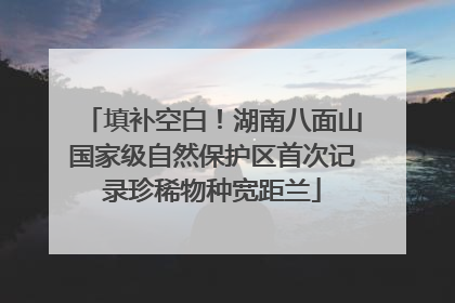 填补空白！湖南八面山国家级自然保护区首次记录珍稀物种宽距兰