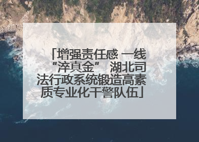 增强责任感 一线“淬真金” 湖北司法行政系统锻造高素质专业化干警队伍