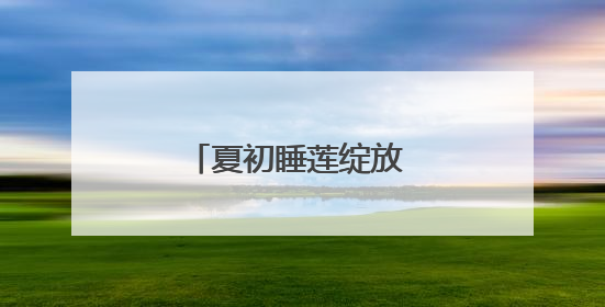 夏初睡莲绽放 一池清雅入画