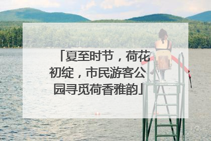 夏至时节，荷花初绽，市民游客公园寻觅荷香雅韵