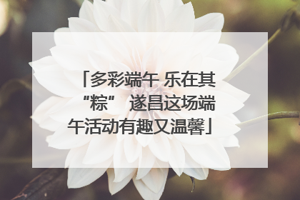 多彩端午 乐在其“粽” 遂昌这场端午活动有趣又温馨