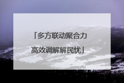 多方联动聚合力 高效调解解民忧