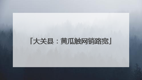 大关县：黄瓜触网销路宽