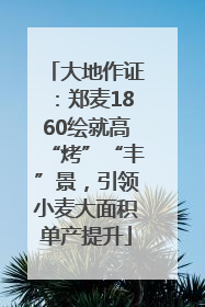 大地作证：郑麦1860绘就高“烤”“丰”景，引领小麦大面积单产提升