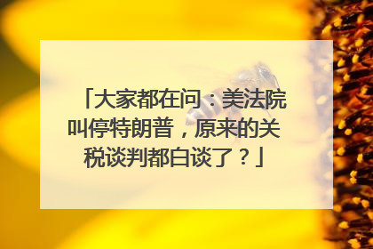 大家都在问：美法院叫停特朗普，原来的关税谈判都白谈了？