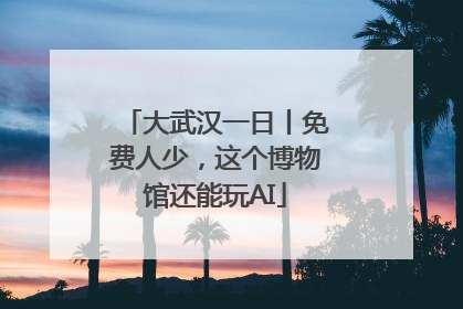 大武汉一日丨免费人少，这个博物馆还能玩AI