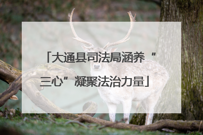 大通县司法局涵养“三心”凝聚法治力量