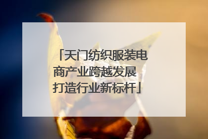 天门纺织服装电商产业跨越发展 打造行业新标杆