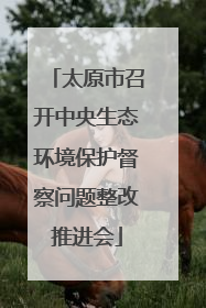 太原市召开中央生态环境保护督察问题整改推进会
