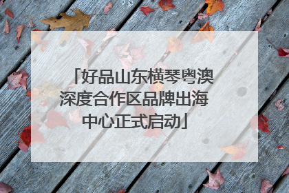 好品山东横琴粤澳深度合作区品牌出海中心正式启动