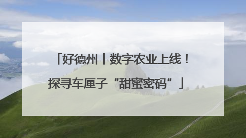 好德州丨数字农业上线！探寻车厘子“甜蜜密码”