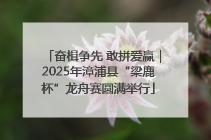奋楫争先 敢拼爱赢｜2025年漳浦县“梁鹿杯”龙舟赛圆满举行