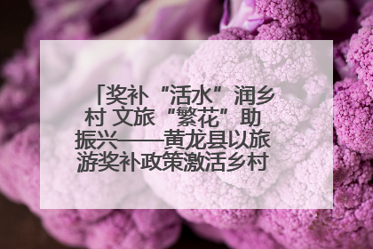 奖补“活水”润乡村 文旅“繁花”助振兴——黄龙县以旅游奖补政策激活乡村振兴新动能