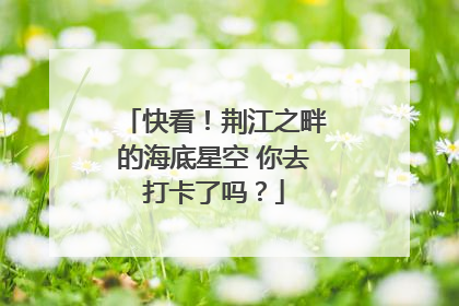 快看！荆江之畔的海底星空 你去打卡了吗？