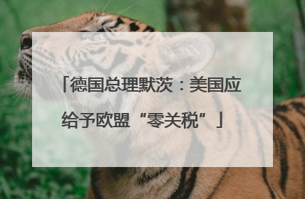 德国总理默茨：美国应给予欧盟“零关税”