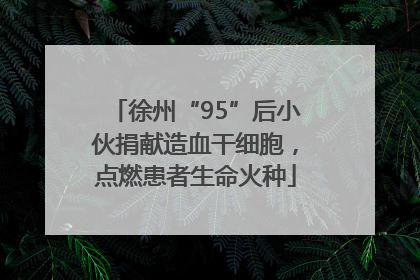 徐州“95”后小伙捐献造血干细胞，点燃患者生命火种