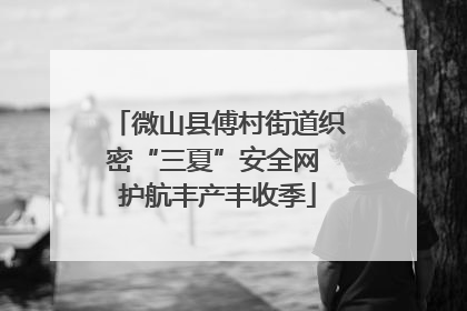 微山县傅村街道织密“三夏”安全网 护航丰产丰收季
