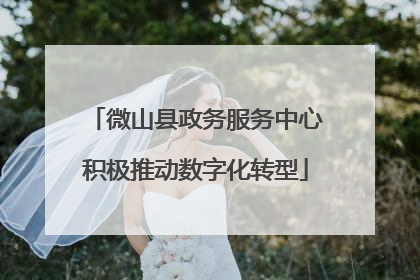 微山县政务服务中心积极推动数字化转型