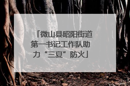 微山县昭阳街道第一书记工作队助力“三夏”防火