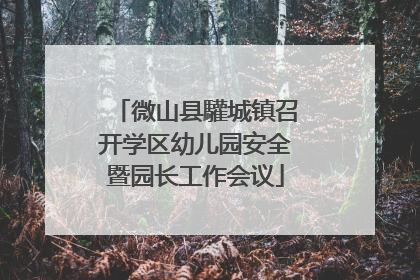 微山县驩城镇召开学区幼儿园安全暨园长工作会议