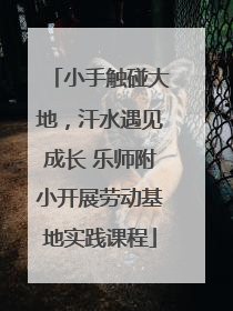 小手触碰大地，汗水遇见成长 乐师附小开展劳动基地实践课程