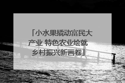 小水果撬动富民大产业 特色农业绘就乡村振兴新画卷