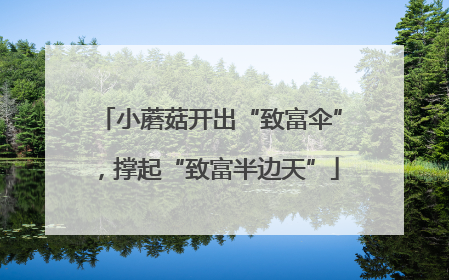 小蘑菇开出“致富伞”，撑起“致富半边天”