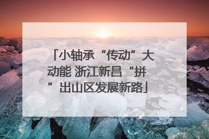 小轴承“传动”大动能 浙江新昌“拼”出山区发展新路
