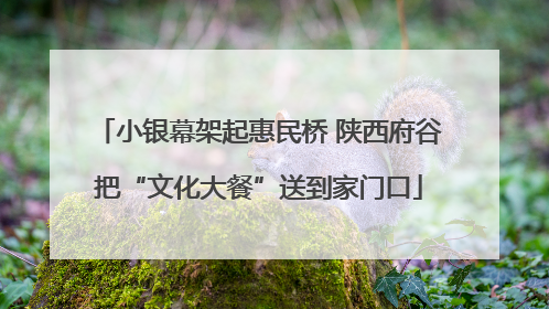 小银幕架起惠民桥 陕西府谷把“文化大餐”送到家门口