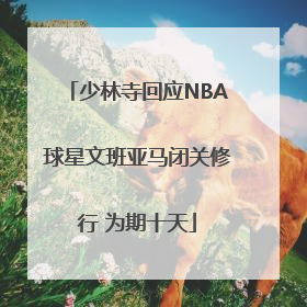 少林寺回应NBA球星文班亚马闭关修行 为期十天
