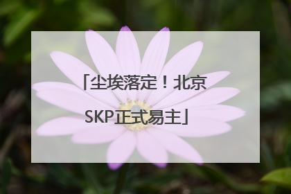 尘埃落定！北京SKP正式易主