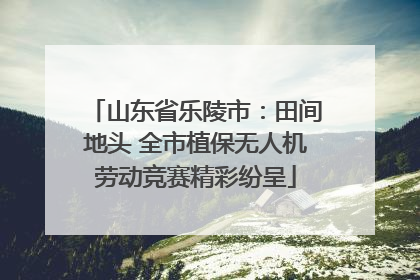 山东省乐陵市：田间地头 全市植保无人机劳动竞赛精彩纷呈